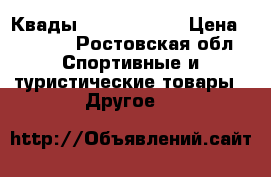 Квады disco palace › Цена ­ 3 100 - Ростовская обл. Спортивные и туристические товары » Другое   